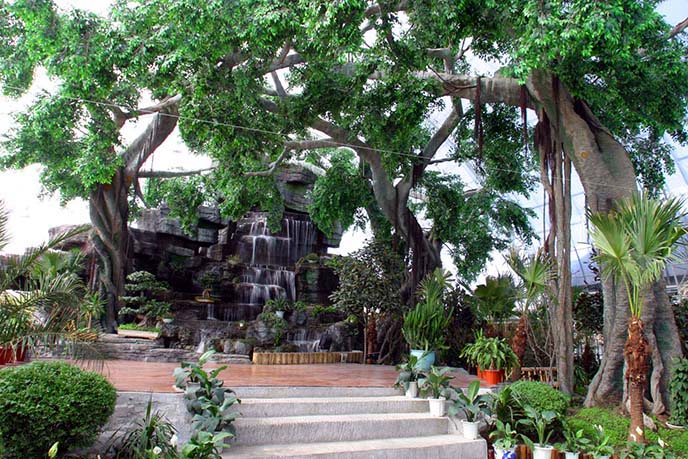 富有創(chuàng)意的仿真樹制作，栩栩如生、造型特的仿真樹