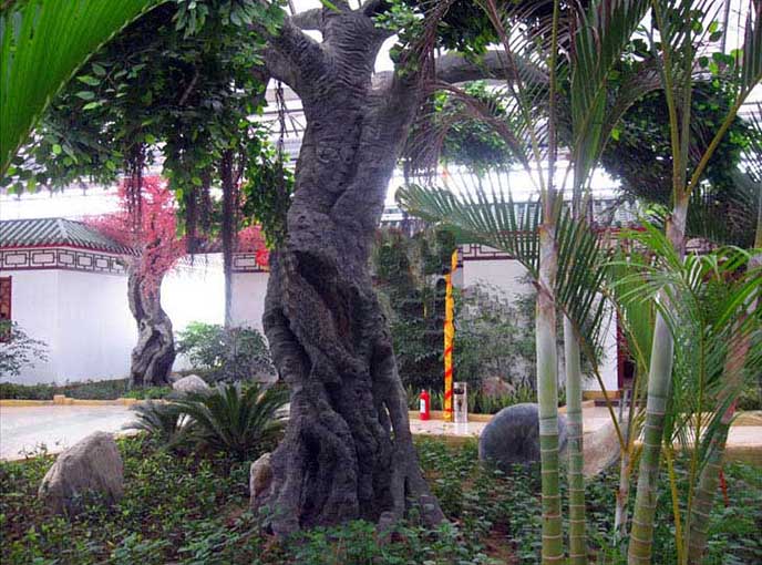 怎樣能找到好的仿真榕樹廠家－淡水河谷專業(yè)仿真榕樹廠家