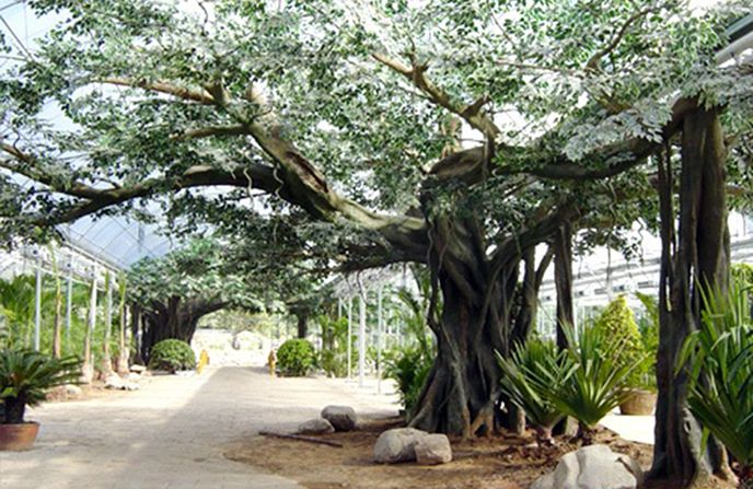 仿真榕樹制作從上海迪士尼仿真榕樹制作學(xué)到了什么
