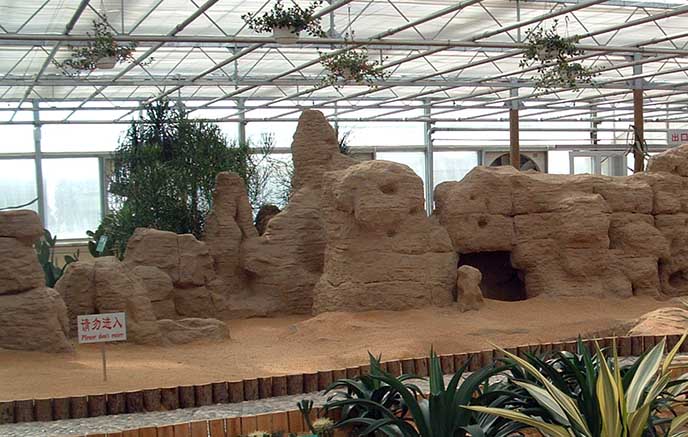 北京水泥假山制作－北京花卉大觀園內(nèi)水泥假山制作