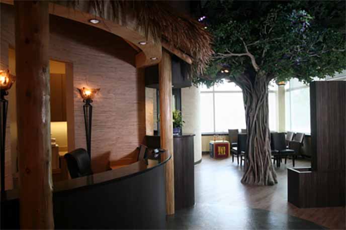 寧夏銀川仿真榕樹給室內(nèi)環(huán)境增光添彩，宛若室外大森林