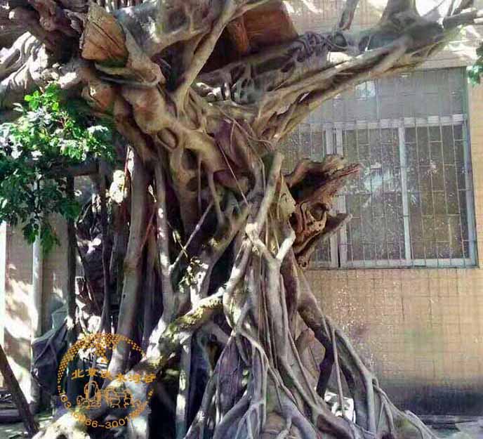 廣東東莞仿真榕樹制作和真的榕樹一樣，外觀可以假亂真