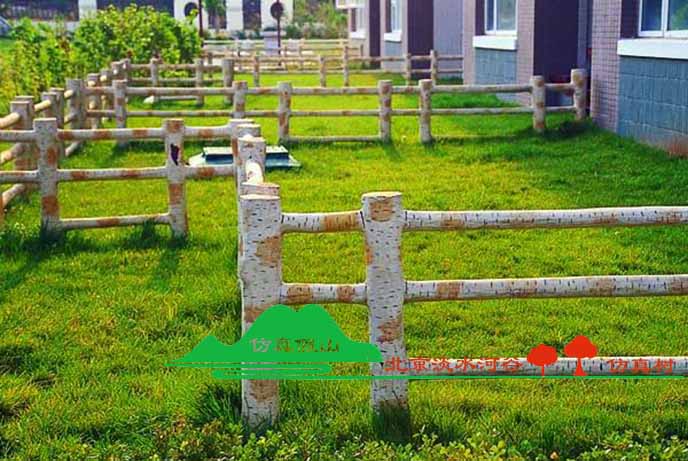 仿真白樺樹專業(yè)制作，規(guī)模化制作仿真白樺樹的大型廠家