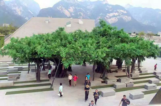 大型仿真榕樹廠家為您制作各種國(guó)際頂尖水準(zhǔn)的高端仿真樹