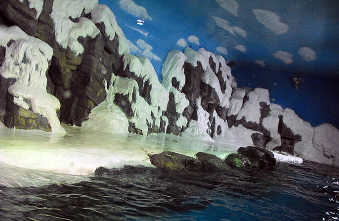 仿真雪山哪個(gè)廠家制作的好，有比較經(jīng)典的案列嗎