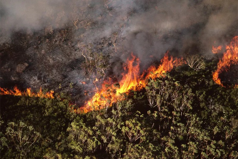 野火何時何地發(fā)生-許多山火由雷擊引起多則是人類活動引起的