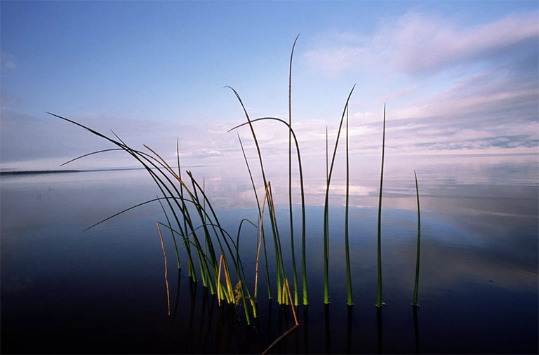 美國(guó)大的25個(gè)湖泊-按面積計(jì)算（四）