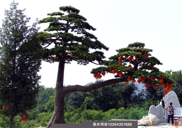 現(xiàn)場(chǎng)制作仿真松樹，工藝精美效果逼真—北京圣園工程
