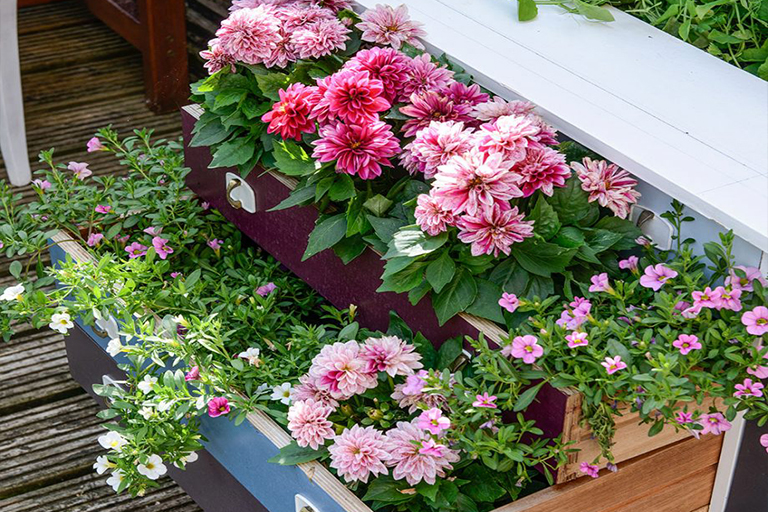 植物花園的升級(jí)思路–從種植商到DIY植物花園家具制作（下）