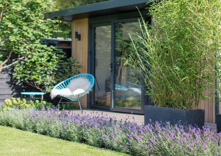 如何打造一個(gè)對(duì)野生動(dòng)物友好的植物花園？