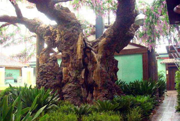 仿真樹施工的具體步驟都有哪些？你知道嗎？