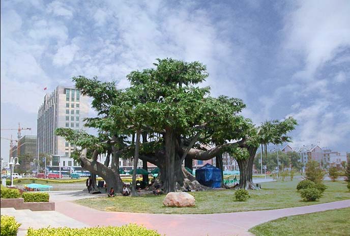 仿真樹運用科技的方式及手段達(dá)到真樹的效果