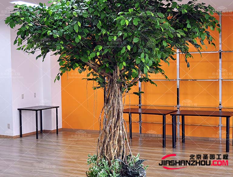 仿真樹具有不脫葉而且仿真樹長久耐用、不會枯萎等優(yōu)點