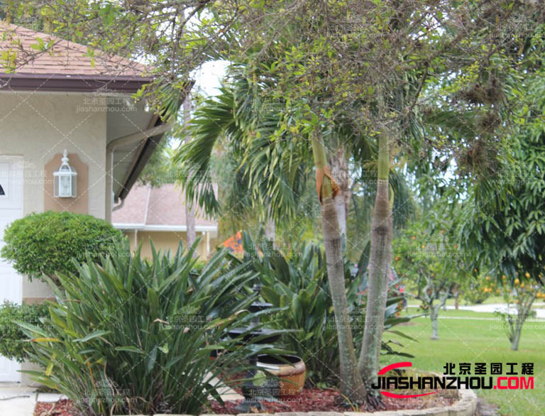 現(xiàn)在的室內(nèi)外仿真樹的活動場地：如演唱會、展覽等活動場地