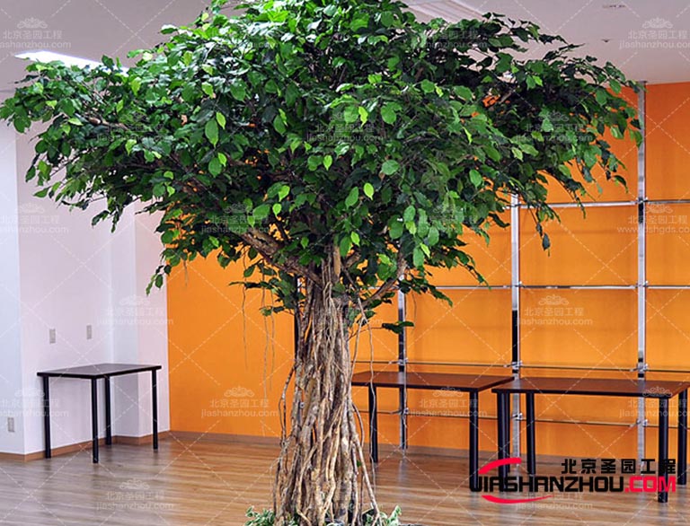 仿真樹可以為人們提供一種接近自然的感覺緩解壓力