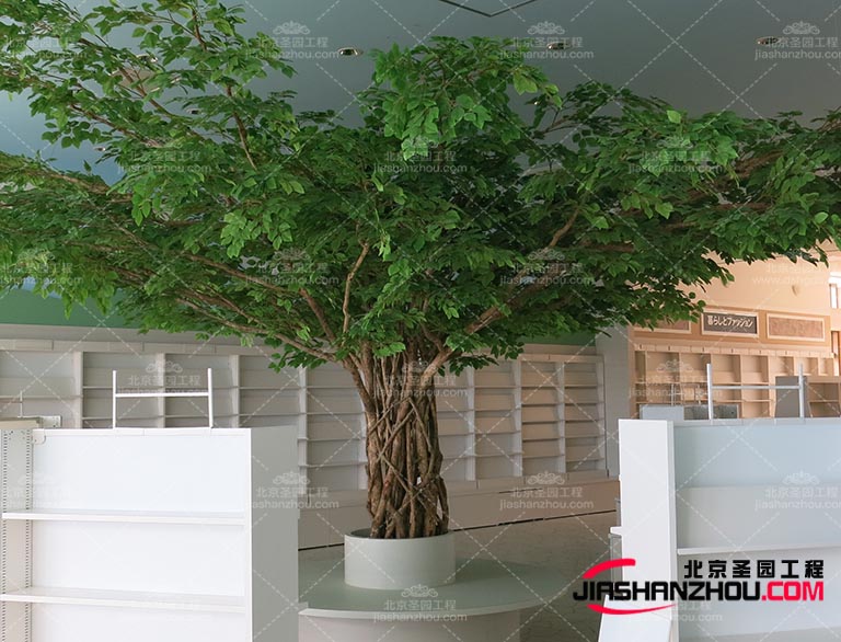 仿真樹(shù)他們需要從真實(shí)的植物中獲取靈感和素材并通過(guò)技術(shù)