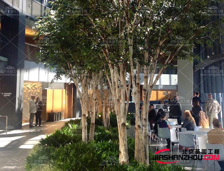 仿真樹(shù)在許多文化中都有特殊的象征意義我們可以利用這些文化