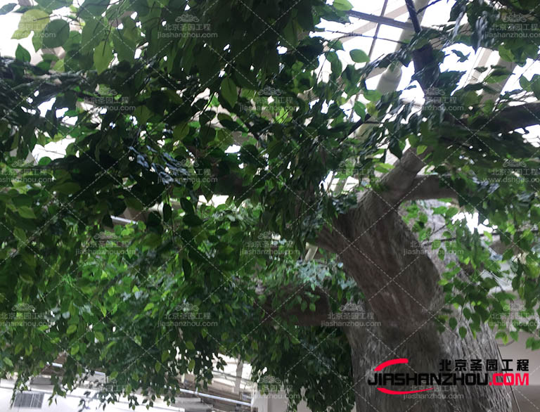 LED燈裝飾仿真樹 創(chuàng)造真實自然的綠色景觀