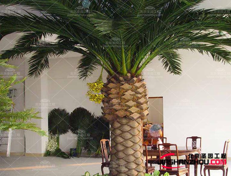 浙江仿真樹室內(nèi)外裝飾點綴了人們的生活 給予美的享受