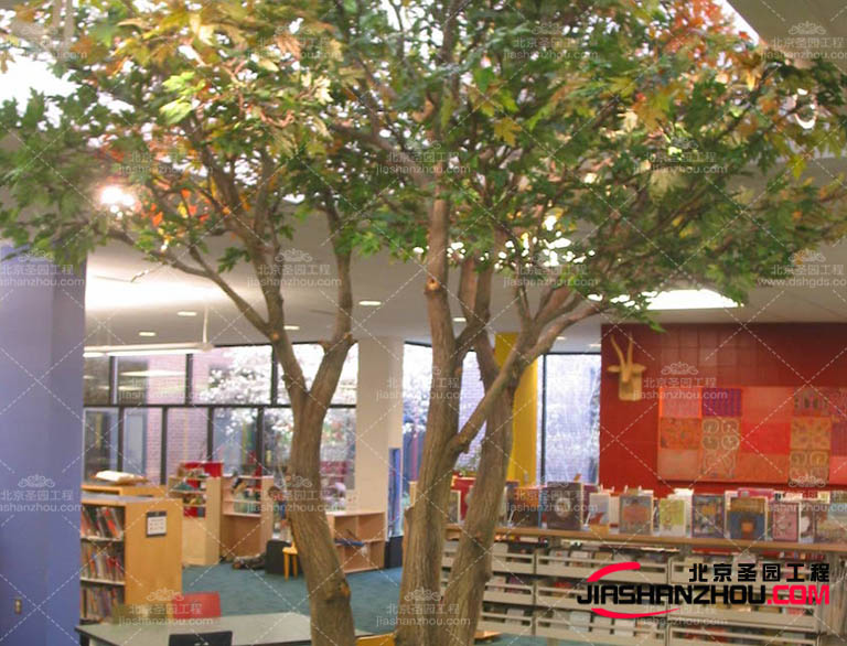 甘肅室內外仿真樹裝飾陳設后的日常保養(yǎng)和維護