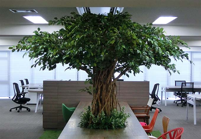 室內(nèi)仿真樹.jpg 室內(nèi)仿真樹