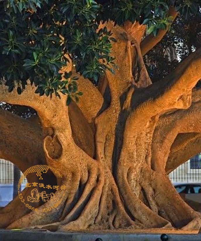 仿真榕樹(shù).jpg 仿真榕樹(shù)