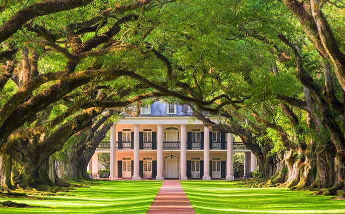 仿真榕樹.jpg 仿真榕樹