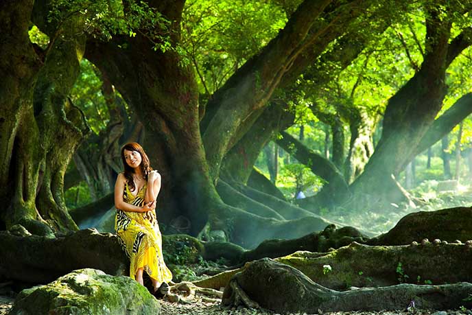 仿真榕樹.jpg 仿真榕樹