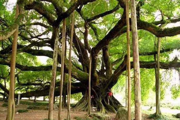 1531991584660831.jpg 1SU12M2-0.jpg