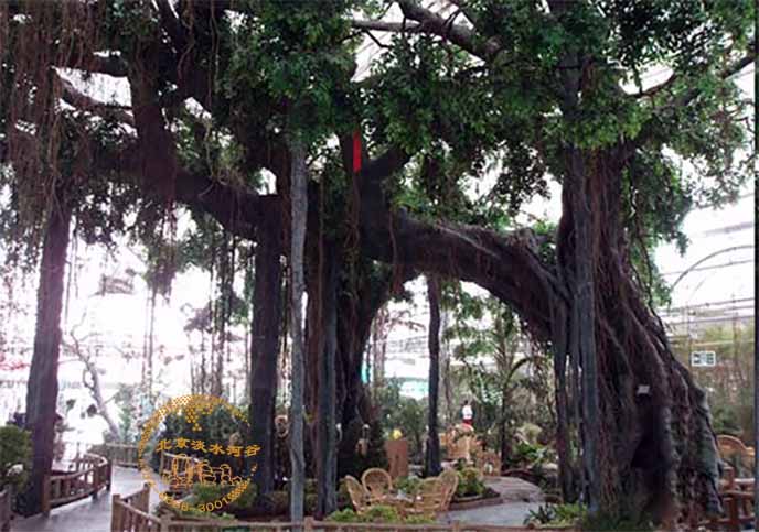 仿真榕樹(shù).jpg 仿真榕樹(shù)