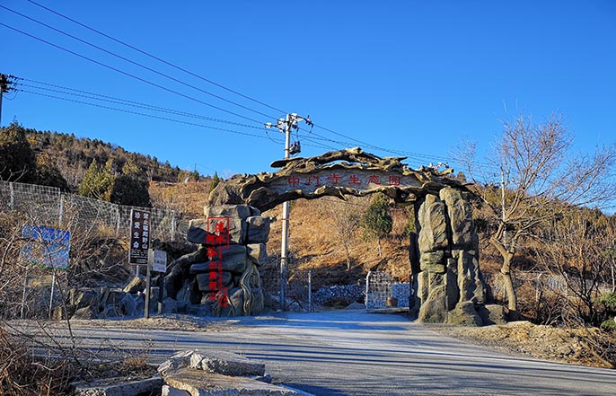 仿真樹(shù)大門(mén).jpg 仿真樹(shù)大門(mén)