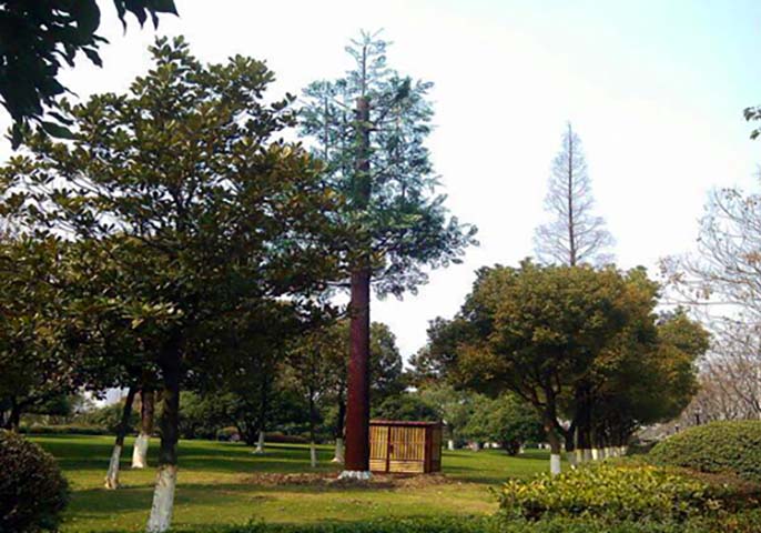 信號(hào)塔避雷針監(jiān)控桿仿真樹(shù).jpg 信號(hào)塔避雷針監(jiān)控桿仿真樹(shù)