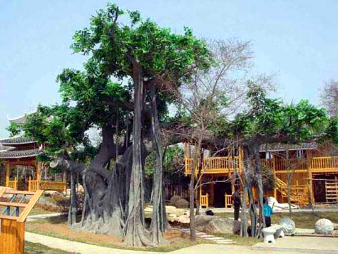大型仿真樹(shù)