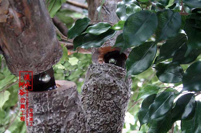 1547692919286784.jpg 1547690841848774.jpg