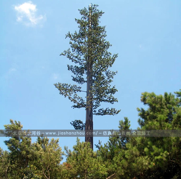 仿真樹.jpg 仿真樹