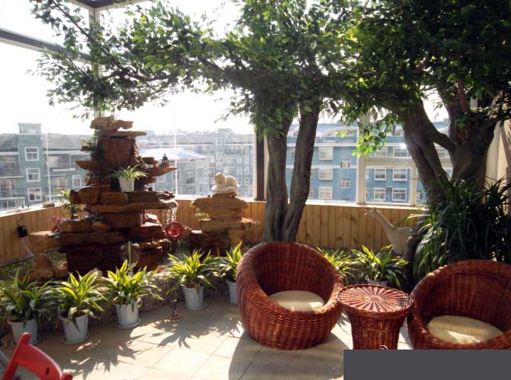 陽(yáng)臺(tái)仿真樹(shù).jpg 陽(yáng)臺(tái)仿真樹(shù)