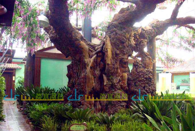 仿真樹.jpg 仿真樹