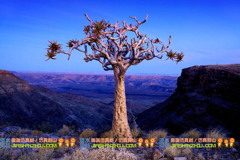 仿真樹.jpg 仿真樹