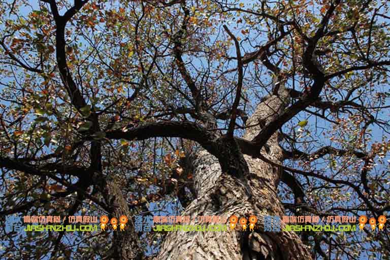 仿真樹.jpg 仿真樹