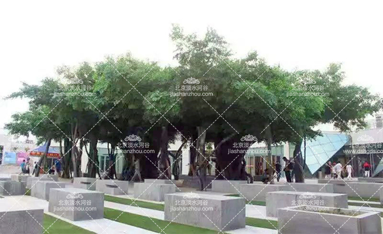 仿真樹.jpg 仿真樹