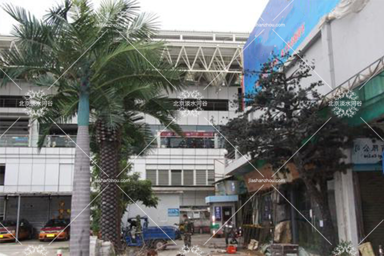 仿真樹.jpg 仿真樹