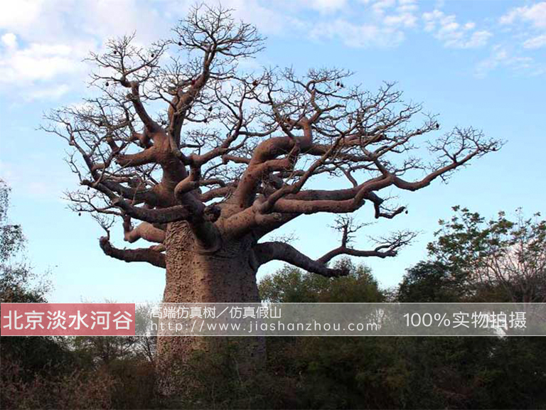 仿真樹.jpg 仿真樹