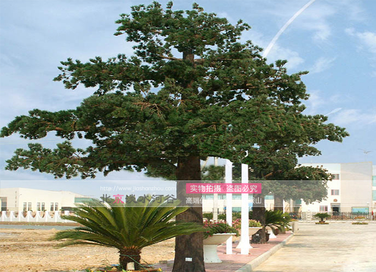 仿真樹(shù).jpg 仿真樹(shù)
