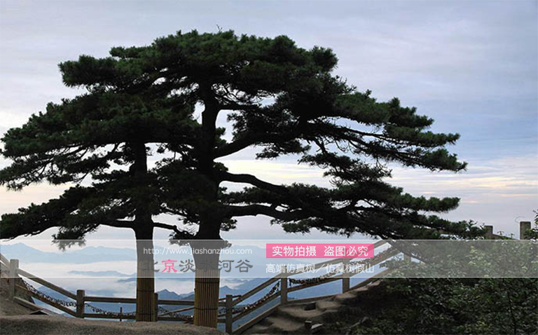 仿真樹(shù).jpg 仿真樹(shù)