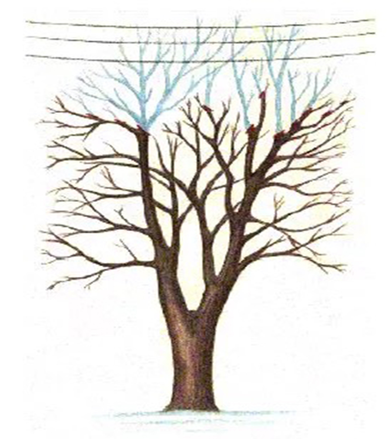 仿真樹.jpg 仿真樹