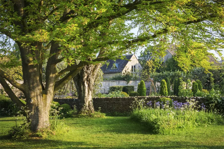 仿真樹.jpg 仿真樹