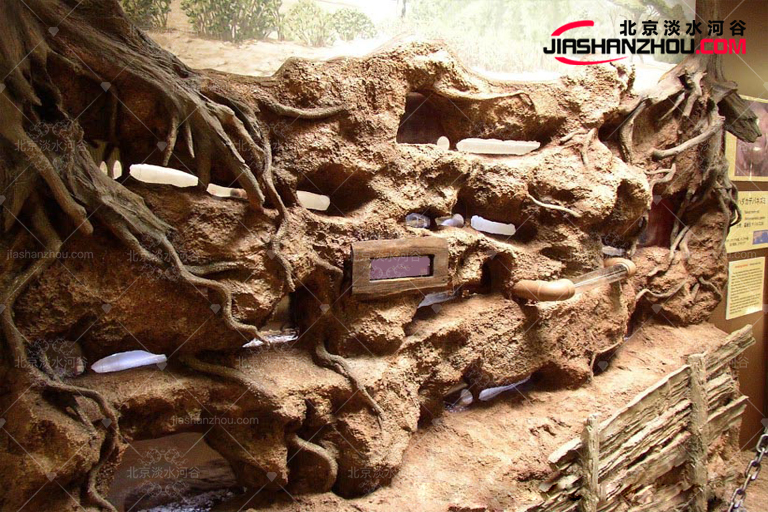 塑石假山.jpg 塑石假山