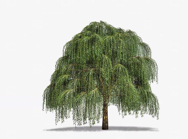 1583463959573170.jpg timg (2).jpg