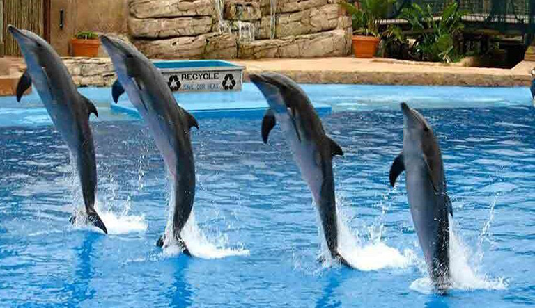 塑石假山.jpg 塑石假山