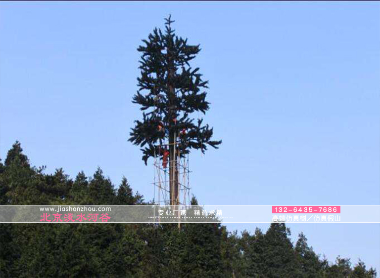 仿真樹.jpg 仿真樹